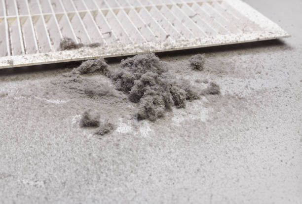Best Air Vent Cleaning Services  in Syracuse, KS